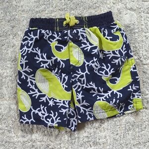 Cabana Life Navy and Lime Swim Shorts